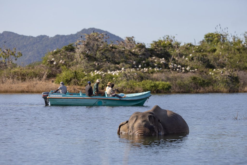 Gal Oya National Park Safari ( All Included )