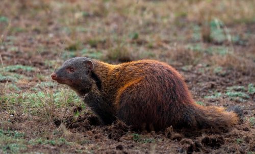 527646560 1074746098174522 326750077365480946 n