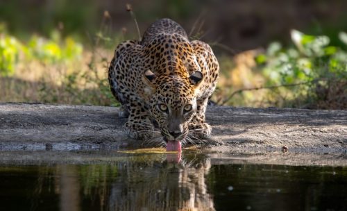 541828986 1096748169307648 5231096744479692242 n