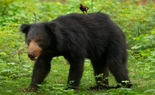 587070039 1162274316088366 8412537411611493978 n