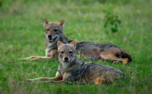 587147726 1163841475931650 9034124432698872674 n