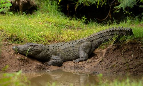 591910340 1177127417936389 6591923081141567869 n