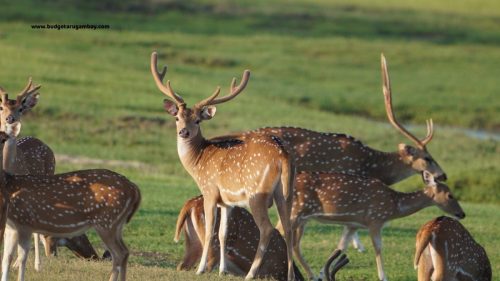 WhatsApp-Image-2024-05-07-at-08.51.42 74239266